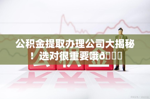 贵池公积金提取办理公司大揭秘！选对很重要哦😎